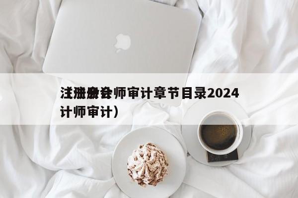 注册会计师审计章节目录2024
（注册会计师审计）