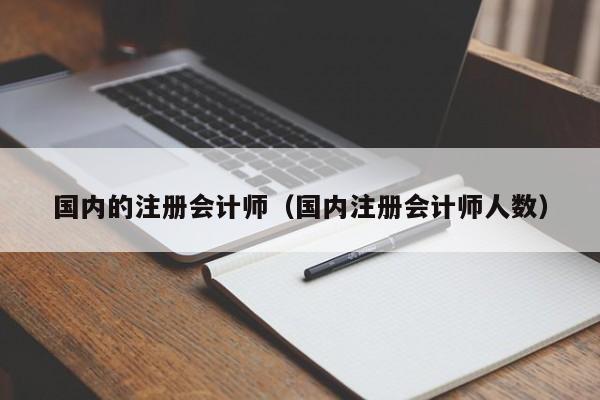 国内的注册会计师（国内注册会计师人数）